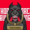 Фото профиля THURLBREDGAMING