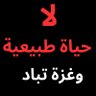 🇲🇦Asmaa says Palestine will be free☪️ 的头像