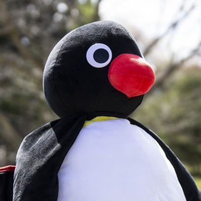 PNG's profile picture