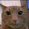 Profilbild von esotilin