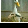 Grevi's profile picture