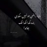 Profilbild von Hamza Malik