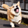 Profilbild von P' Nut