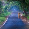 Фото профиля Sanjay Yadav
