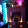 tom's profile picture