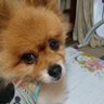 HappyLeon🐾 profil fotoğrafı