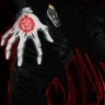 xen's profile picture