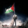 عمار الاسكندرانى's profile picture
