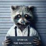 Фото профиля Raccoon of No Street
