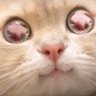 Profilbild von Mee