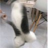 Ben A profil fotoğrafı
