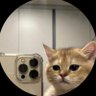 Profilbild von Boey_Boman