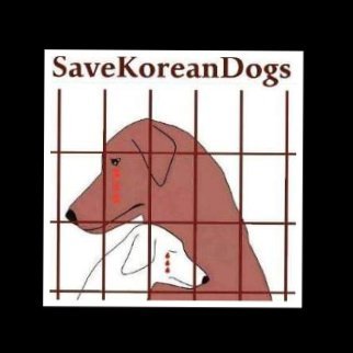 SaveKoreanDogs's profile picture
