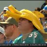 Dogfish's profile picture