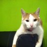 Profilbild von ricardo2803