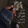 الجوهره's profile picture