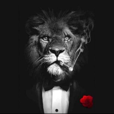 Salvatore Linteum's profile picture