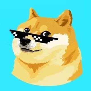 DOGE OG's profile picture