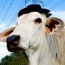 Фото профиля WillOUFC