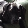 Profilbild von J