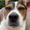 Profilbild von 36Duffryn