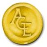 American Gold Exchange, Inc.'s profile picture