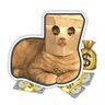 BORSA KEDİSİ profil fotoğrafı