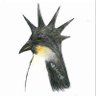 El Pingüino Forastero's profile picture