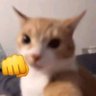 Profilbild von punch cat