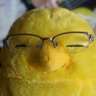 Profilbild von ãšãŸãããã