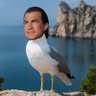 Steven Seagull's profile picture