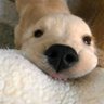 Profilbild von SigmaClips