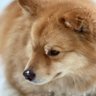 Mikesjournal 的头像
