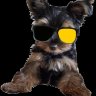TicoBolado 🇧🇷🇦🇷's profile picture