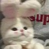 Profilbild von ログアウト中