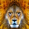 Profilbild von serge leria 🇫🇷🕷️🦁