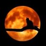 Artemisa's World's profile picture