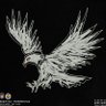 MBG profil fotoğrafı