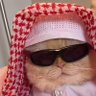 Abdullahiboko's profile picture