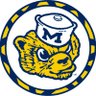 Michigan Opinions's profile picture
