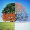 Seasons profil fotoğrafı