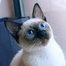 jack profil fotoğrafı