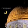 mohamed azzeh's profile picture