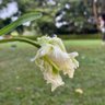 Фото профиля 虎张