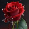 Mohan Kumar's profile picture