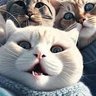 WagmiAi💎 profil fotoğrafı