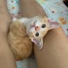 tsuki's profile picture
