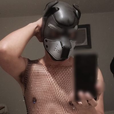 AlterEcniv's profile picture