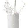 Bianca Latte 🥛's profile picture