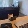 ทืม profil fotoğrafı